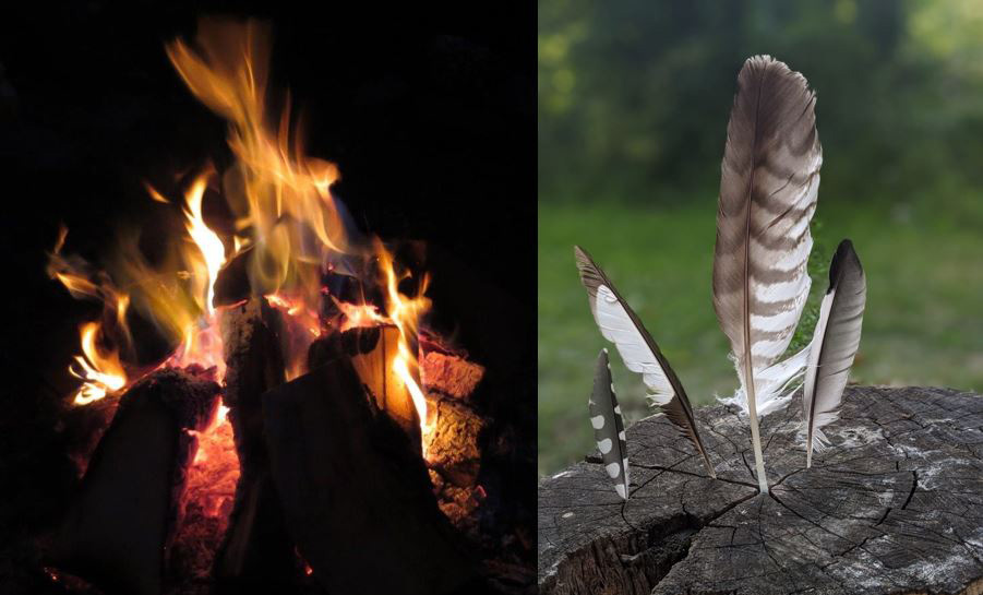 Feuer und Feder